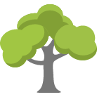 Odessa Tree Trimming